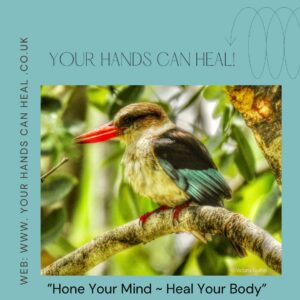 Tera-Mai™ Reiki Energy Healing